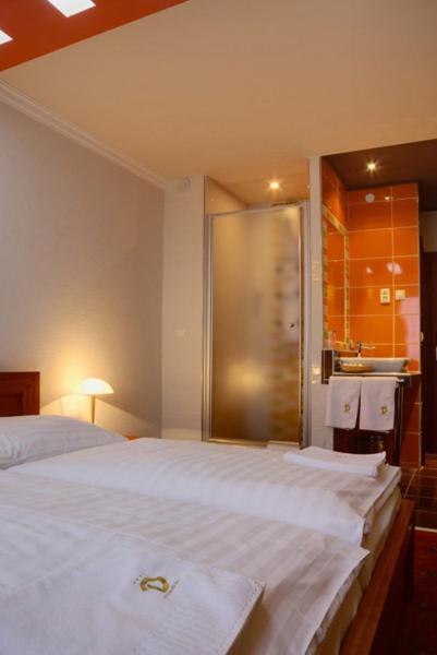 Hotel Druzba Μιχάλοβτσε Δωμάτιο φωτογραφία